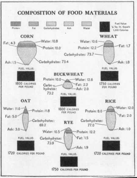 [Illustration: Composition of food materials]